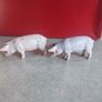 SET OF  2  Schleich Pink Pig Figure USED Made In Germany Image 2