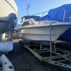 project boat