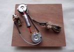 PRS standard wiring harness