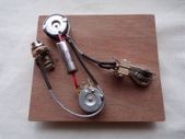 PRS standard wiring harness