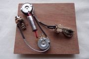 PRS standard wiring harness