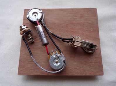 PRS standard wiring harness