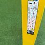 ladder Image 2