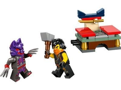 LEGO Ninjago Tournament Training Ground (30675)