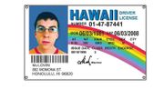 McLovin ID Flag HAWALL Driver License Flag 3 x 5FT(90 x 150cm) Pongee Polyester 90g with Four Brass Grommets  and Double Stitched (FREE POSTAGE)