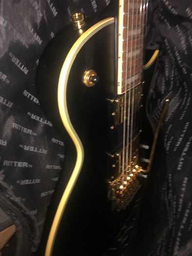 Ritter electric guitar case for Gibson fender Ibanez Jackson PRS charvel epiphone esp