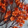 Artificial Full Star/Babysbreath Flowers X 4 Image 4