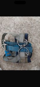 Harness
