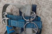 Harness