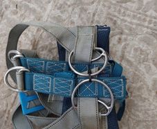 Harness