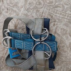 Harness