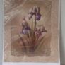 iris print unframed Image 2