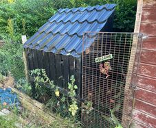 Chicken coop