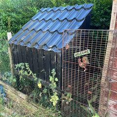 Chicken coop