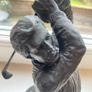 Genesis Bronze -Golfer Swing Image 2