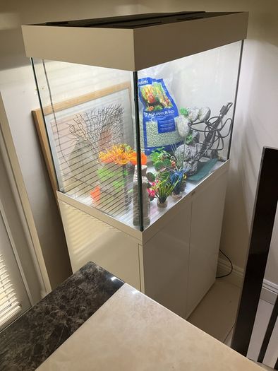 fish