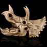Skull Ornament Triceratops Image 3