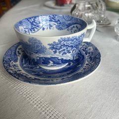 Copeland Spode teacup and saucer
