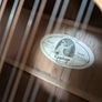 12 String Acoustic Image 2