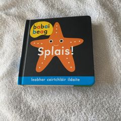 Irish language children's book