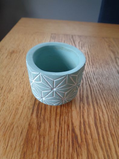 Succulent Flower Pot for Sale