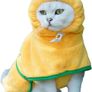 Bear Dog Bathrobe,Super Absorbent Dog Quick Drying Microfiber Coat Hooded Bath Towel for Puppy Small Dogs Pumpkin) Image 2