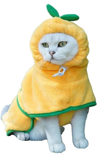 Bear Dog Bathrobe,Super Absorbent Dog Quick Drying Microfiber Coat Hooded Bath Towel for Puppy Small Dogs Pumpkin)