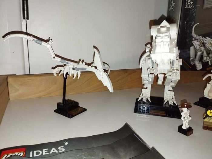 LEGO Ideas Dinosaur Fossils