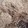 topsoil (unscreened) Image 2