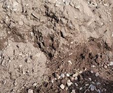 topsoil (unscreened)