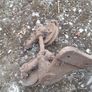 Old Pulley Mechanism Image 2