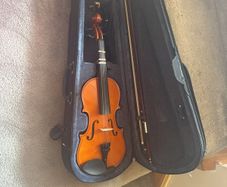 violin