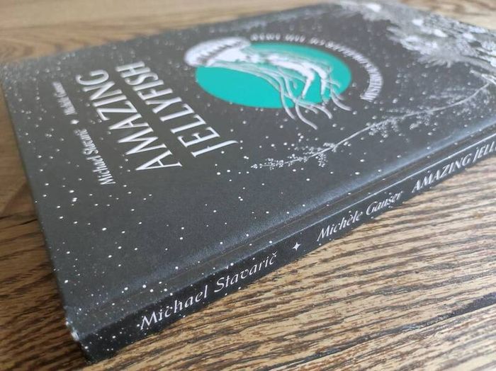 Amazing Jellyfish: Mysterious Dweller of the Deep by Michael Stavaric, Age 9+