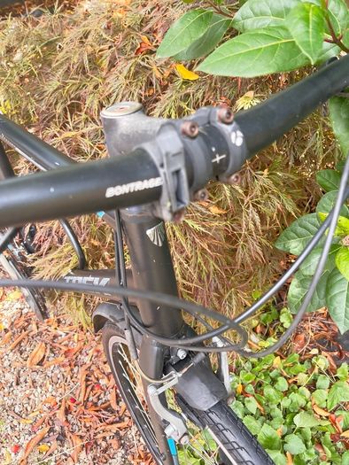 trek bicycle