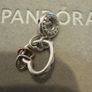 Pandora charm Image 2