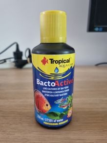 Bacto Active 250ml