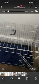 Dog cage
