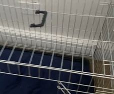 Dog cage
