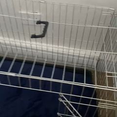 Dog cage