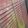 Free wood Image 4