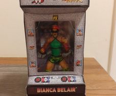 wwe x Street fighter elite collection figure