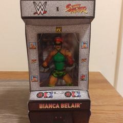 wwe x Street fighter elite collection figure