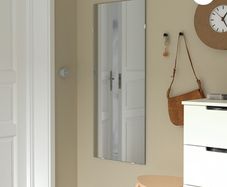 2 x mirrors