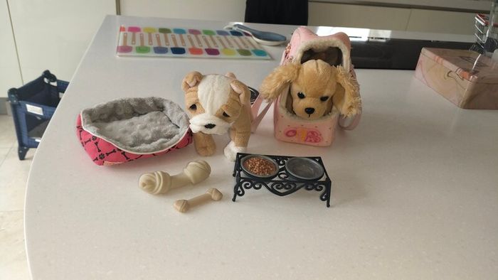 Puppy teddies (our generation)