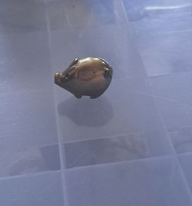 Brass pig