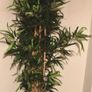 QUICK SALE (Moving out SALE) - Large Faux Bamboo Plant & Grey Floor Vase (Dublin 13) Image 6
