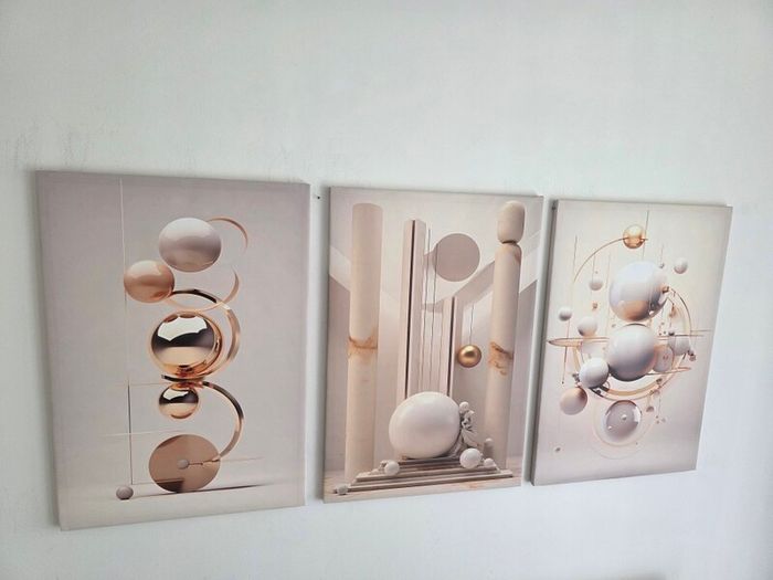 3 canvas framed 46x66cm each size