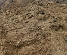Topsoil