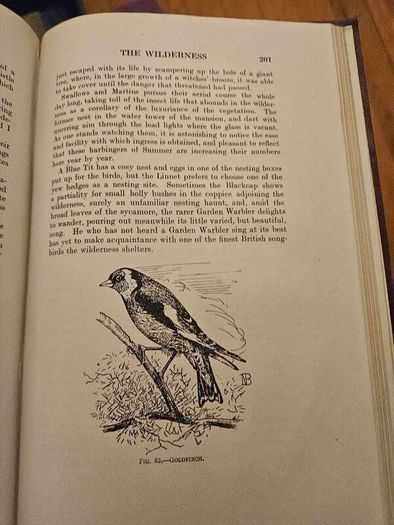 My Life As A Naturalistic. By W. Percival Westell. First Edition 1918 Hardback In Fair Condition.  See Photos For Same.