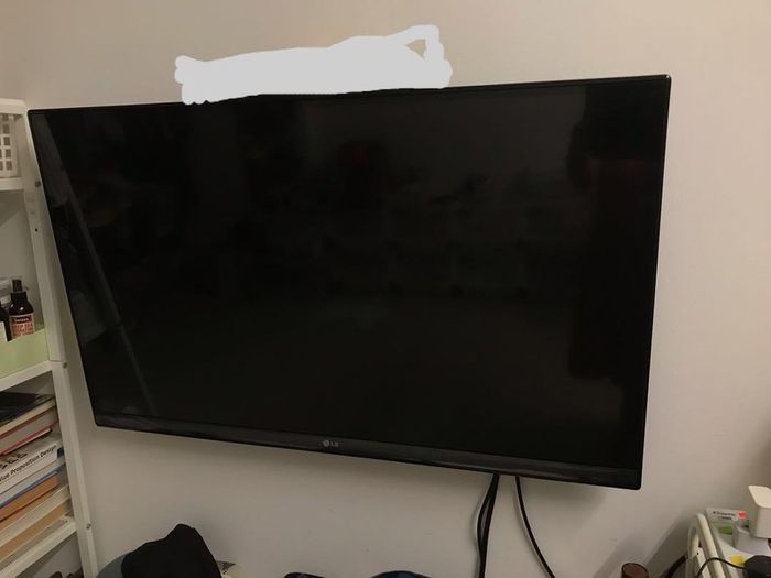 LG 43 inch smart TV
